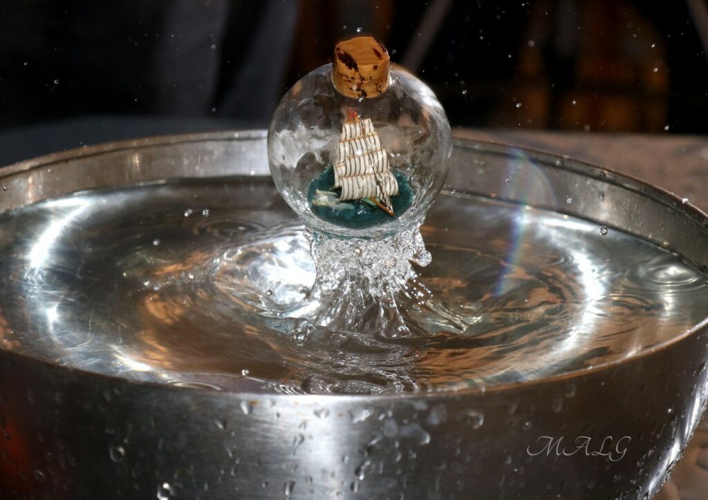 – Ils jouent à l’eau !